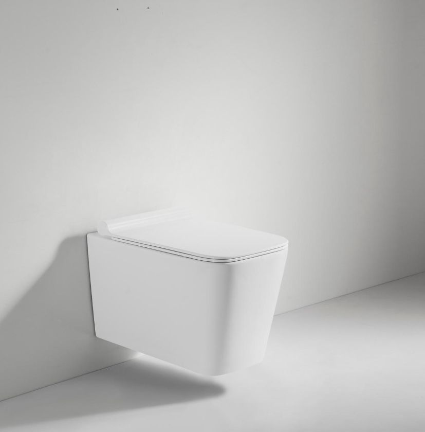 Grohe Concealed Mechanism + Closet Combo | 10-Year Warranty