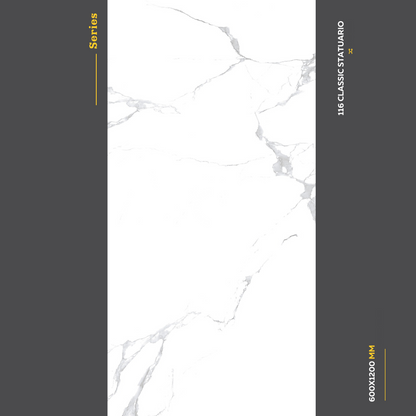 "60x120 Indian Porcelain Tile – Starting from AED 17.50